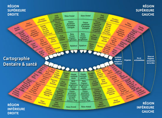 Cartographie dentaire et santé